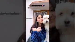 💋🤦🏻enna solla trending reels👩&zwj;❤️&zwj;💋&zwj;👨🐶#ennasollatrendingreels #trending #ennasolla#shorts