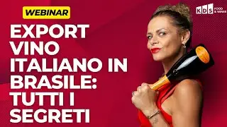 EXPORT VINO ITALIANO: COME VENDERE VINI IN BRASILE CON SUCCESSO, ECCO I SEGRETI! 🍷