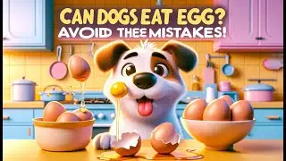 The Safe Way to Feed Your Dog Eggs 🥚🐶