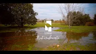 Las Rozas Naturalmente