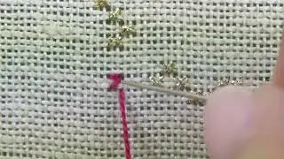 Algerian Eyelet