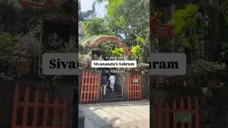 A day at Sivananda's Kerala Ashram #yogashorts #clemenceyoga