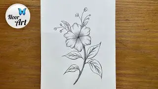 Easy drawing tutorial for beginners episode 2 || How to draw Flower with pencil