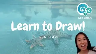 Ocean Defender - Learn To Draw - Sea Star