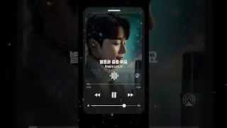 별들과 춤을 춰요 - HAPPY CATCH