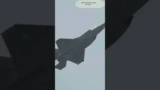 Unveiling Insect Camo Tech II Nature's Hidden Innovation