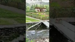 Beautiful village life #countryside #youtubeshorts #scenery