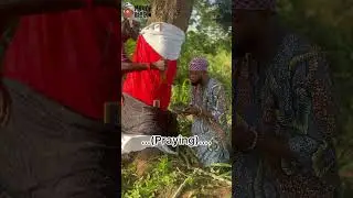 Eniabuku The herbalist #funny #comedy #nollywood ( A thief and more )