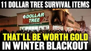 11 Dollar Tree Survival Items That'll Be WORTH GOLD in Winter Blackout