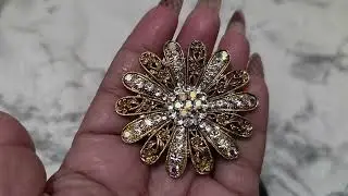 Video 11 2026