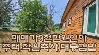 900268상주시 외남면 소은리. 곶감마을 대봉감나무 있는 밭과 집 매매. 계획관리지역.경량철골구조 주택25평 이상. 방3,거실,주방,욕실1,기름보일러.수도.485평.7천만원