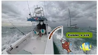 Hay mucha diferencia 25 FT  y  20 FT  QUE CREEN ?????