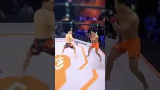 Best UFC🥊🥊&mdash;Let's pick the most thrilling one! #ufc #mma #boxing #ufcboxing #funny