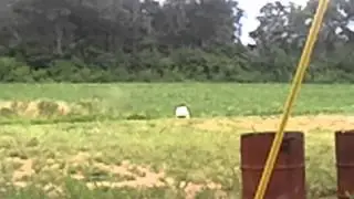 Redneck Family Explosion