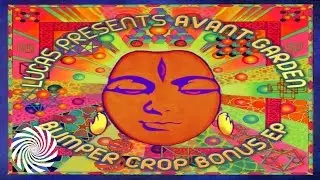 Lucas O'Brien & Space Tribe - Magic Carpet Ride