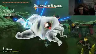 Mit Vollgas die Nebenquests Attackieren |Hyrule Warriors Chronik der Versiegelung #30