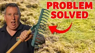 Ваш газон стал рыхлым и его трудно косить? Вот решение!