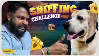 Chottu: ஒரே அசிங்கமா போச்சே !🫣🫣 | Sniffing Challenge🐶 | Vlog 104 | Mr.Chottu