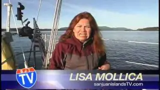 Marine Services Vessel Assist NW