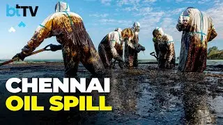 Man-Made Ecological Disaster, Who Is Behind Ennore Creek Oil Spill In Chennai?