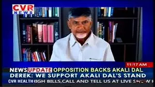 TDP chief Chandrababu Naidu announces new parliament presidents in Andhra Pradesh | CVR English