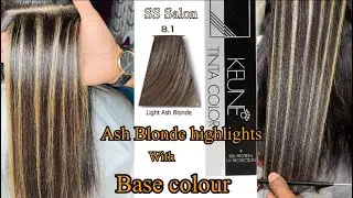 How to: Ash Blonde Highlights on Black Hair / Ash Grey Hair Colour Highlights / Blonde highlights