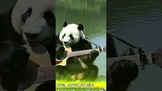 панда с гитарой играет Киркорова 😳😳😳.#Киркоров #панда #panda #животное #animals #animalshorts #music