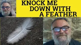 🔵 Knock Me Down With a Feather Meaning - Define You Could Have Knocked Me Down With a Feather Idioms