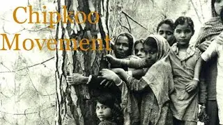 Females For Forestry [Part-1]