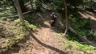 AREA 51 Alpine Singletrack