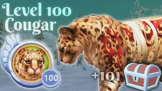 Cougar Level 100 + 101 Chests | WildCraft