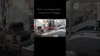 Multi-line packing machine production line