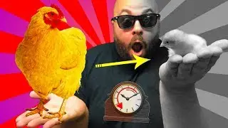 How To TIME TRAVEL!