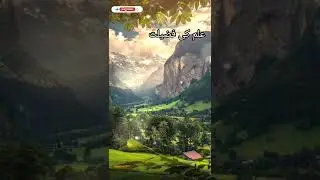 Elim Per Amal Karna #viral #hadees #whatsappstatus #islamicchannel #shorts