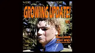 Growing a Michael Myers Chia Pet - Part 5 (And Tasting!)