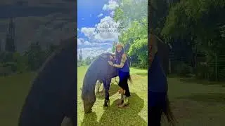 Animals Are Healers | Author Tara Coyote #animalshorts #horseenthusiast