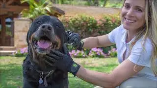 National Pet Month Tips with Colleen Burns - KCTU