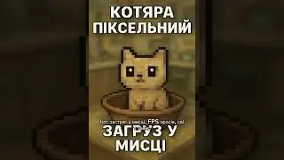 #котяра #мем #брєйнрот #borchyarakat #pixelcat #ukrainememes