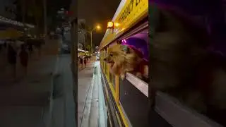 Когда после тусы едешь с кентами домой😂
