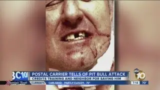 Postal worker recounts details of pit bull attack