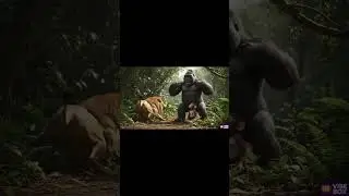 Gorilla and monkey Life saving story