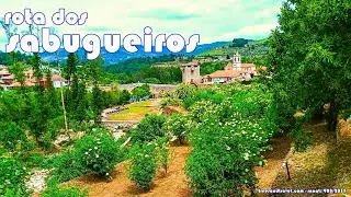 Rota dos Sabugueiros #Salzedas #D&aacute;lvares #Ucanha