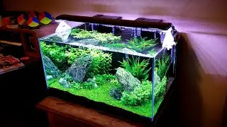 HOW TO:  Remove Hard to Scrub off Algae