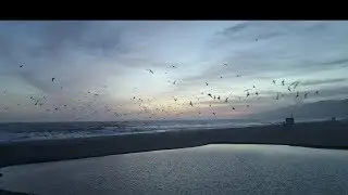 Malibu Stories - Feature