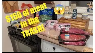 A FABULOUS Meaty Dumpster Dive Haul!! 🥩🍖🥓