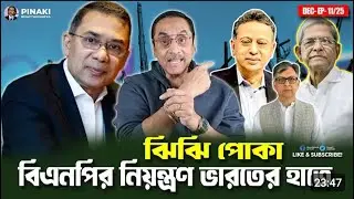 ঝিঝি পোকা বিএনপির নিয়ন্ত্রণ ভারতের হাতে || Pinaki Bhattacharya || The Untold