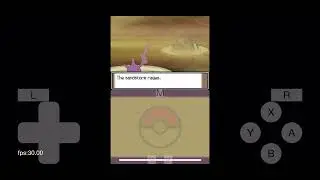 Pokemon Platinum Elite 4