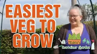 EASIEST VEG TO GROW