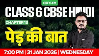 Class 6 CBSE Hindi | Chapter 13 &ndash; पेड़ की बात | Xylem Class 6 CBSE