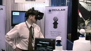 Head Tracked RobotEye with Head Mounted Display